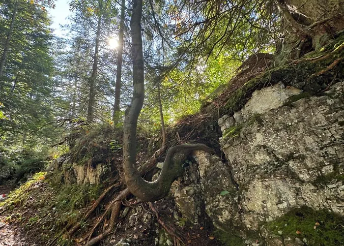 アパート Golfweg *