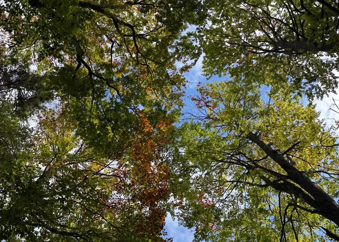 アパート Golfweg *